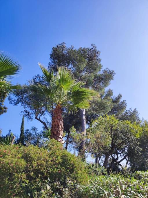 卡尔特汉La Californienne别墅 外观 照片